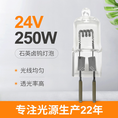 หลอดไฟทางการแพทย์แรงดันต่ำ G6.35 24V 250 วัตต์เปลี่ยนหลอดไฟฮาโลเจน