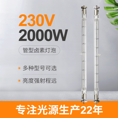 230V 2000w หลอดควอตซ์หลอดฮาโลเจนหลอดไฟเปลี่ยนฮีตเตอร์อินฟราเรดคู่สิ้นสุด